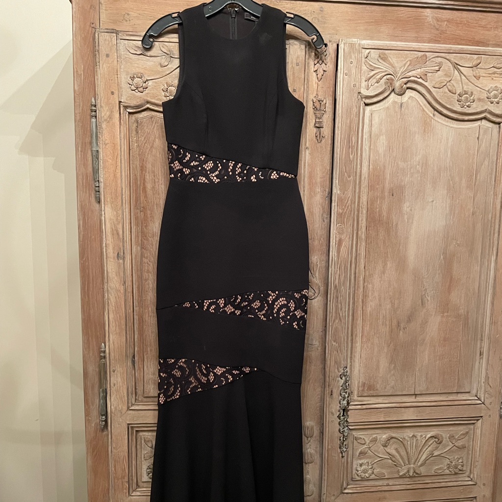 Bcbg Long Gown